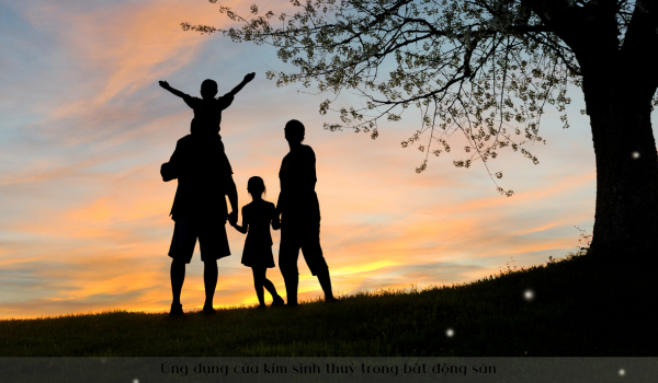 ung-dung-cua-kim-sinh-thuy-trong-bat-dong-san